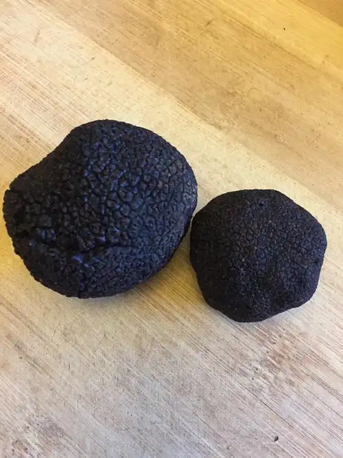 松露與便當料理:輕鬆攜帶,讓辦公族的午餐也有高級儀式感 3 u10614109642943888966fm253fmtautoapp138fJPEG