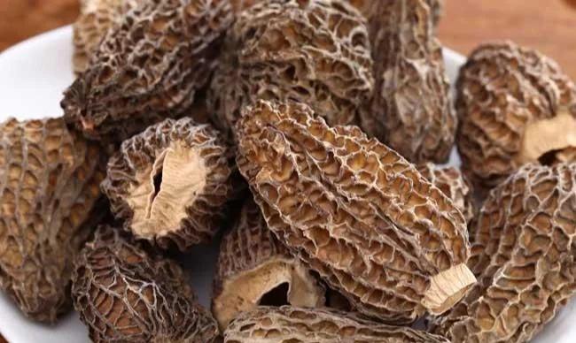 滋養身心,從一碗湯開始:探索羊肚菌的東方養生智慧與現代生活哲學 1 u3553713199650356930fm3074app3074fJPEG