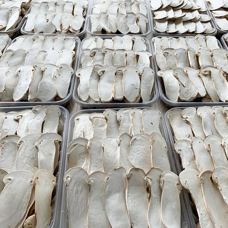 雲南香格里拉新鮮凍乾松茸片:圖片 2