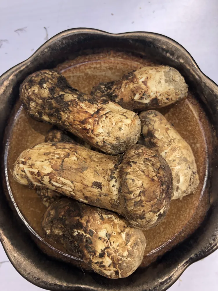 【2026 松茸賞味指南】從長度到香氣:解密「山珍集」野生松茸的頂級規格與品鑒藝術 2 5a7ec7a2f12e4349a911c1e3bded06ec jpeg.heictplv s1ctq42ewb s2 cC q 750 0 0 0 q80