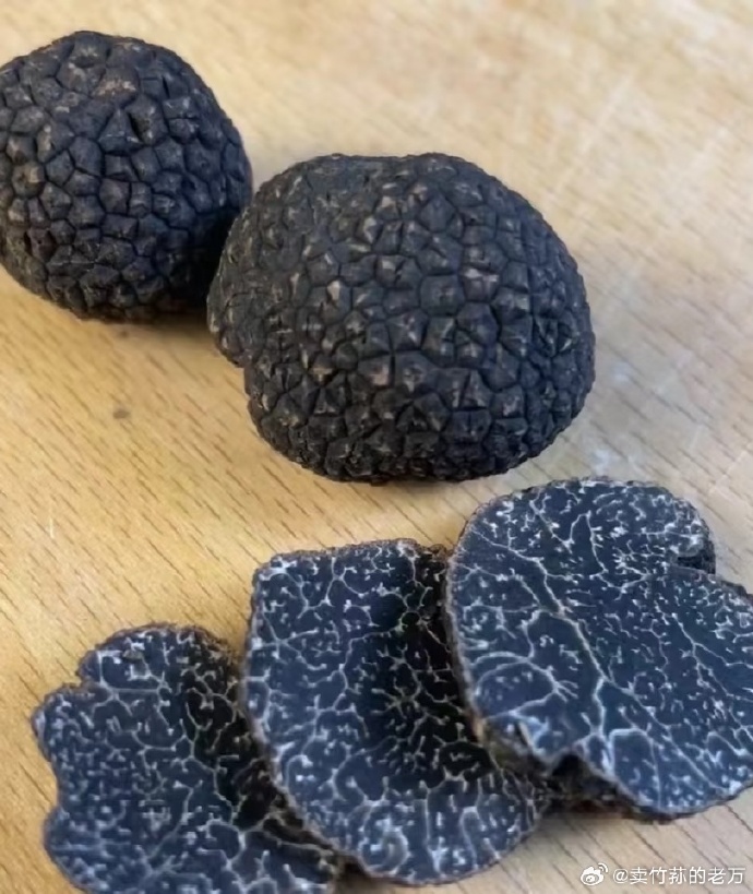 松露與健康:那些你不知道的松露隱藏好處,溫和調理不負期待 1 9c2e49a4gy1i9g32omw7kj20mi0qqwk2